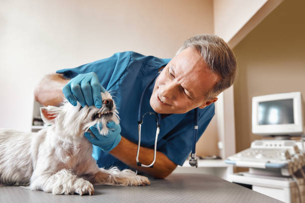 Best Emergency Dentist for Special Needs Patients in King Of Prussia, PA
